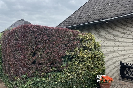 Traumhaus sucht geduldigen Käufer - Haus Dormagen Hackenbroich | Angebot:27452102
