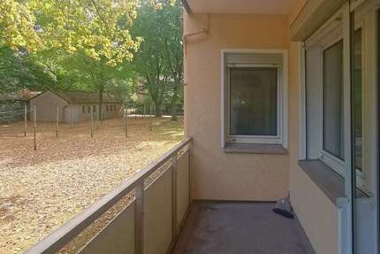 Wohnung Duisburg Obermarxloh - 2 Zimmer, 38 m&sup2;, 340&euro; | Angebot:27409253