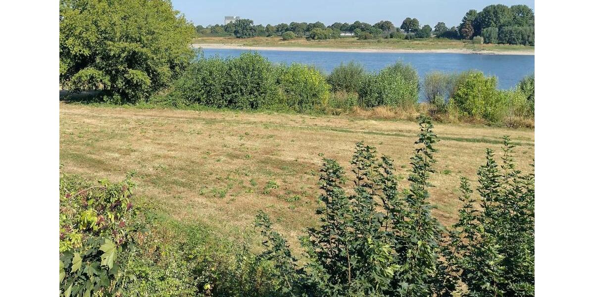 Maisonettenwohnung Neuss Gnadental - 4 Zimmer, 102 m&sup2;, 379.000&euro; | Angebot:27499338