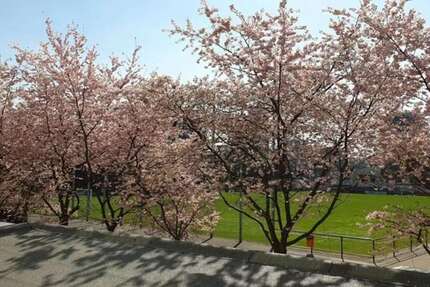 Zimmer Düsseldorf Derendorf - 1 Zimmer, 1.700&euro; | Angebot:27558706