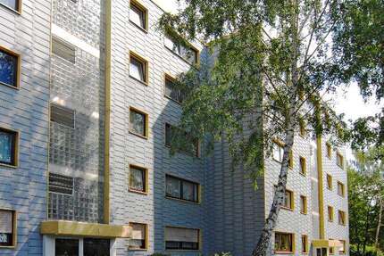 Wohnung Bergheim Niederaußem - 2.5 Zimmer, 65 m&sup2;, 321&euro; | Angebot:27520698