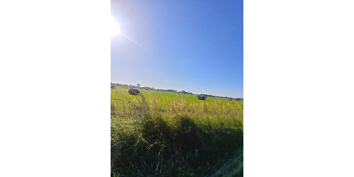 Grundstück Krefeld - 200&euro; | Angebot:25721120