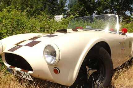 Cobra Andere 3.659 km 29.950 &euro; Mettmann 40822