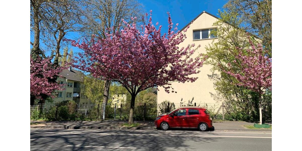 Etagenwohnung Mülheim an der Ruhr Broich - 1 Zimmer, 35 m&sup2;, 510&euro; | Angebot:27564935