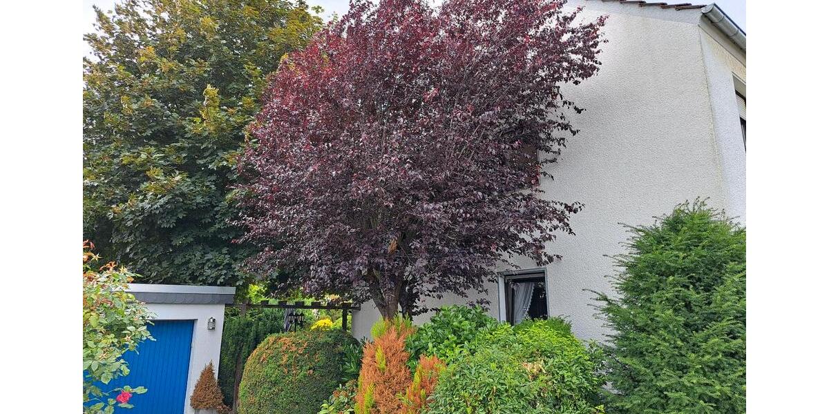Reihenhaus Jüchen - 5 Zimmer, 141 m&sup2;, 369.000&euro; | Angebot:27436324