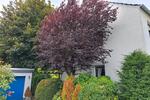 Reihenhaus Jüchen - 5 Zimmer, 141 m&sup2;, 369.000&euro; | Angebot:27436324