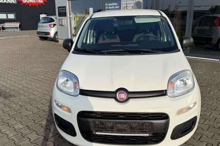 Fiat Panda 50.000 km 7.999 &euro; Tönisvorst 47918