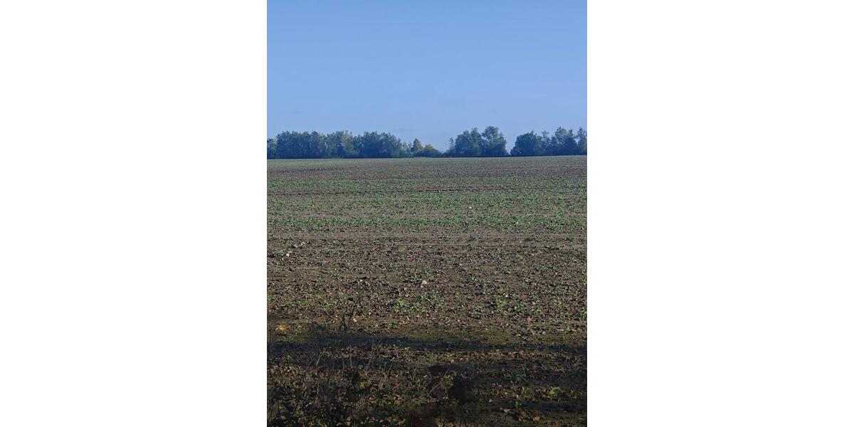 Grundstück Krefeld - 200&euro; | Angebot:25721120