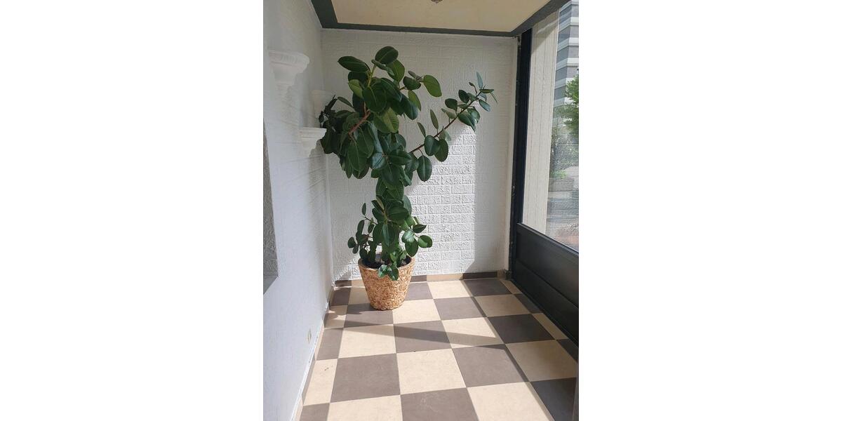 Einfamilienhaus Ratingen Lintorf - 145.000&euro; | Angebot:27537593