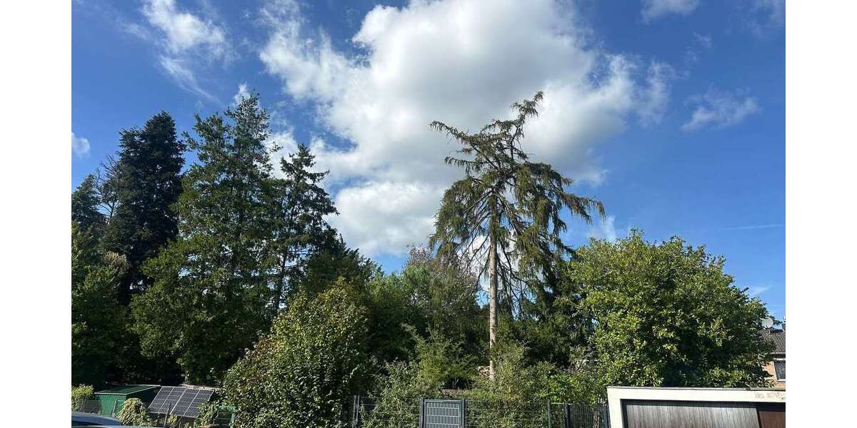 Einfamilienhaus Krefeld Bockum - 4 Zimmer, 100 m&sup2;, 350.000&euro; | Angebot:27544910