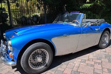 Austin Healey Andere 149.250 km 48.950 &euro; Mettmann 40822