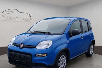 Fiat Panda 6.000 km 12.800 &euro; Kaarst (bei Düsseldorf) 41564