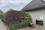 Traumhaus sucht geduldigen Käufer - Einfamilienhaus Dormagen Hackenbroich | Angebot:27235591