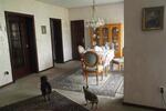 Bungalow Köln Chorweiler - 5 Zimmer, 99 m&sup2;, 495.000&euro; | Angebot:27516576
