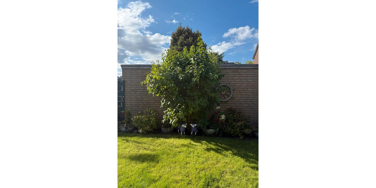 Reihenhaus Kempen - 5.5 Zimmer, 125 m&sup2;, 489.000&euro; | Angebot:27285245