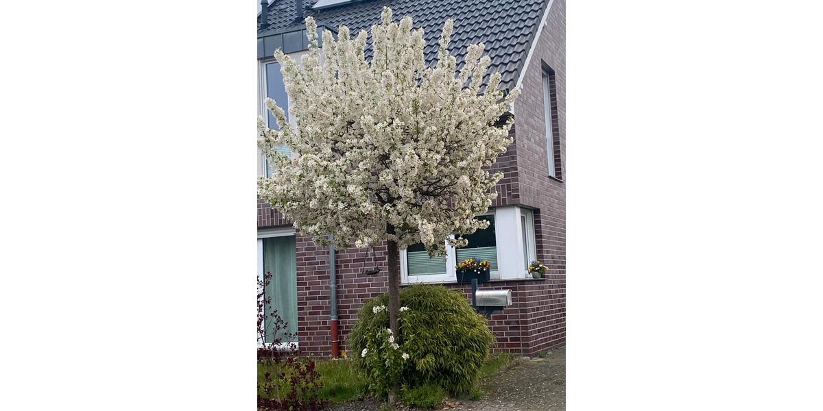 Doppelhaushälfte Korschenbroich - 4.5 Zimmer, 136 m&sup2;, 685.000&euro; | Angebot:27507122