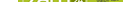 Kaufmännischer Projektentwickler Wohnungsbau (m/w/d)